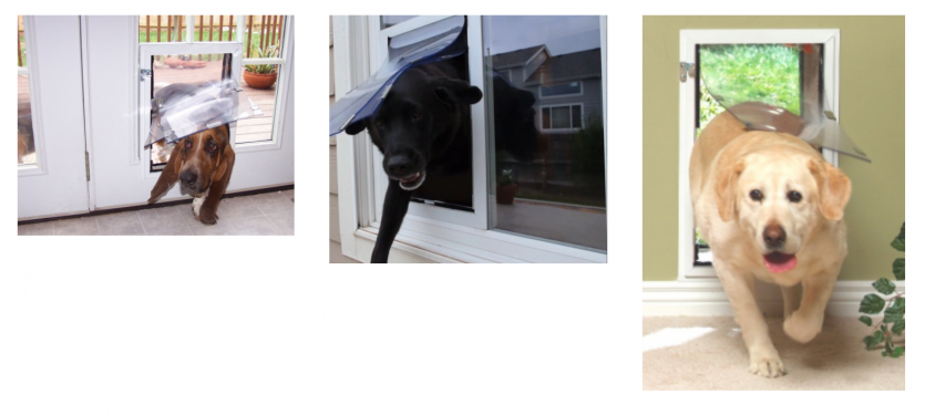 Hale Pet Doors Dog Guard Of Southern Louisiana